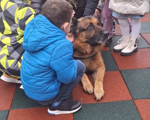 Полицейското куче Виктор стана любимец на децата в Кюстендил