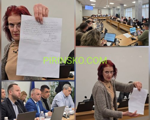 Евгения Станиска от Благоевград предизвика хаос по време на сесията на ОбС Сандански