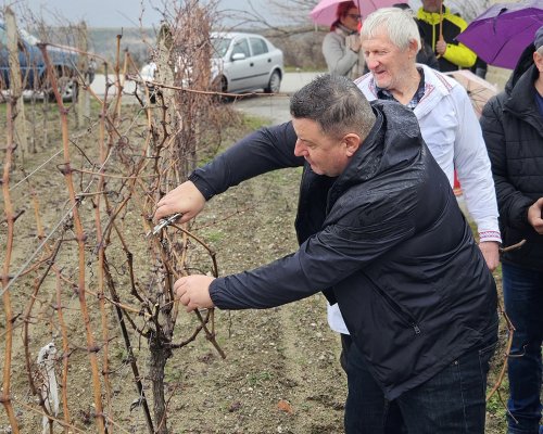 За 15-та поредна година Георги Георгиев организира Трифон Зарезан в с. Плоски