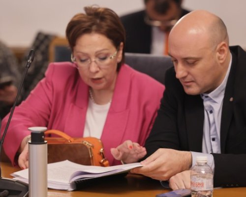 Правната комисия окончателно ограничи до 20 секциите за гласуване зад граница
