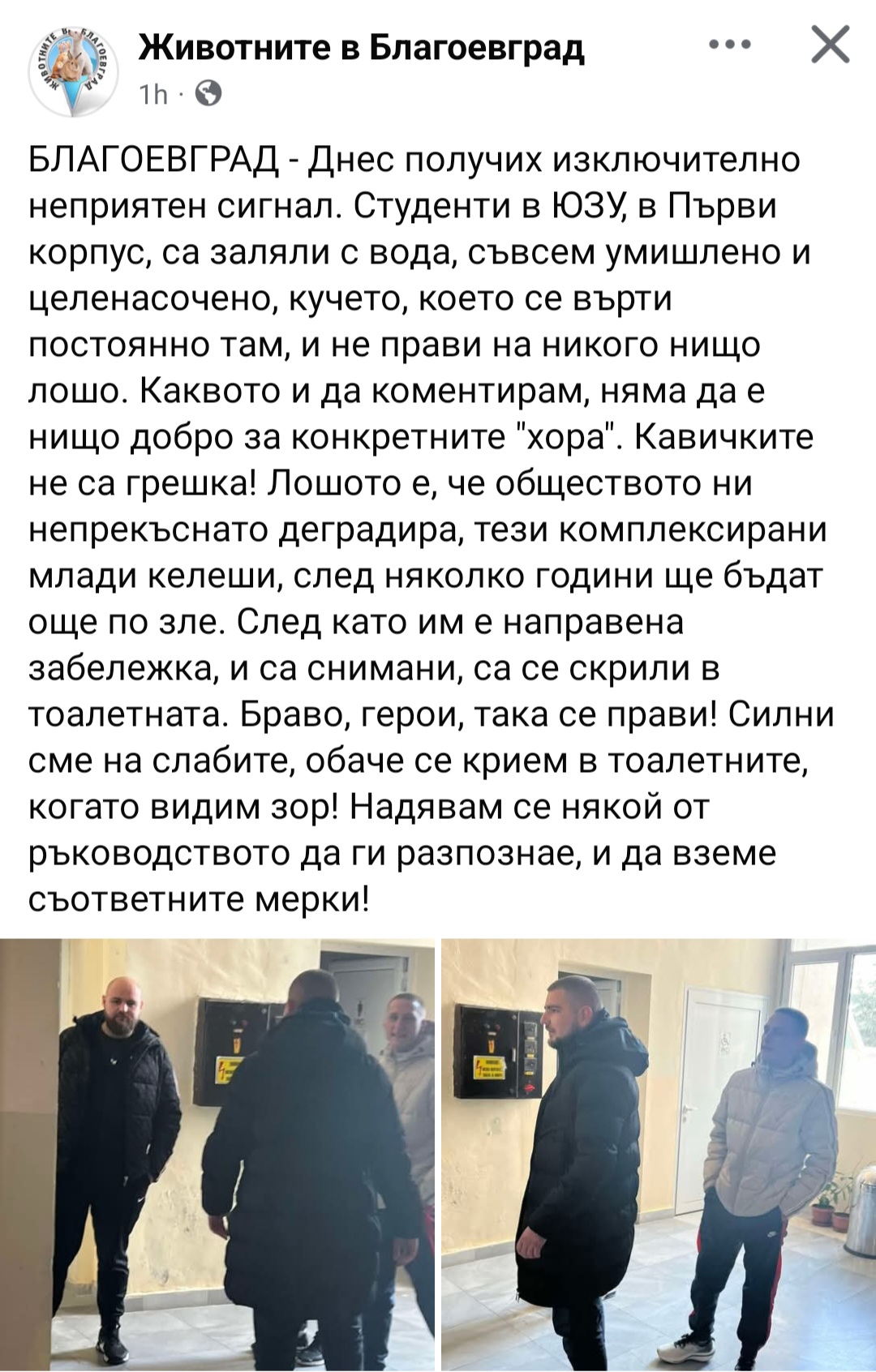 Югозападен университет Неофит Рилски реагира незабавно след гаврата с бездомното куче от студенти