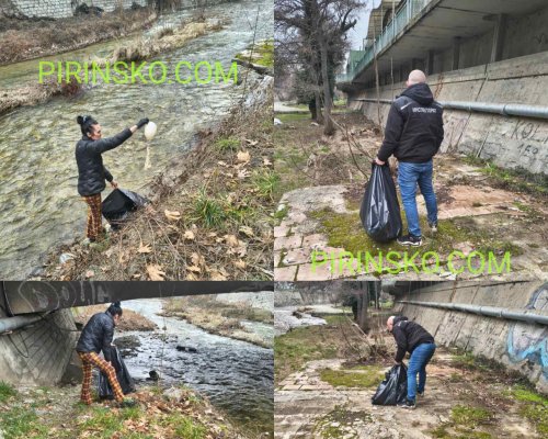 Служителите на приюта в Благоевград намериха второто мъртво куче при почистване на река Благоевградска Бистрица