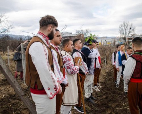 Поредица от събития за празника на виното и любовта в Кюстендилско