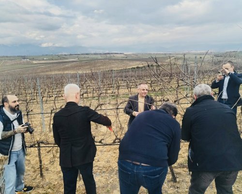 Традицията в Санданско отново оживя с ритуал по зарязване на лозята