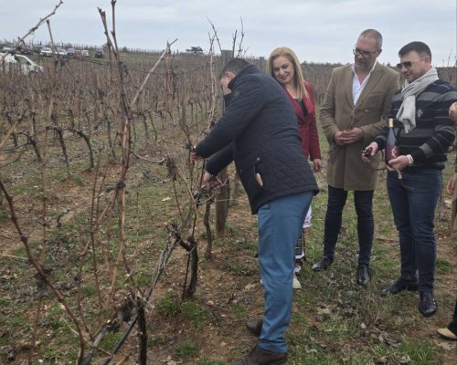 Кметът Станислав Горов даде старт на лозарската година в Долината на Струма