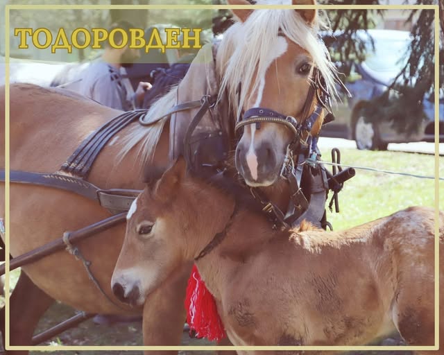 На Тодоровден в Банско На Тодоровден в Банско