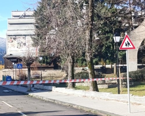 ВНИМАНИЕ: Опасност от падане на дървета при паметника на Иван Козарев в Добринище!