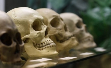 Сензационно откритие може да пренапише историята на човечеството