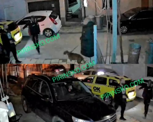 Две поредни нападения с нож срещу Валери Ризов-Буркано в Благоевград