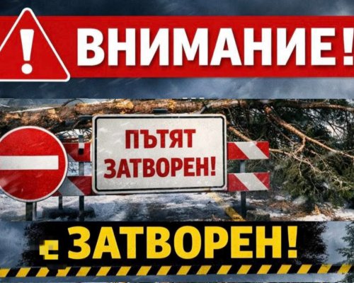 Пътят Русе-Разград-Шумен е затворен за движение на тежкотоварни автомобили над 12 тона заради снеговалеж и снегопочистване