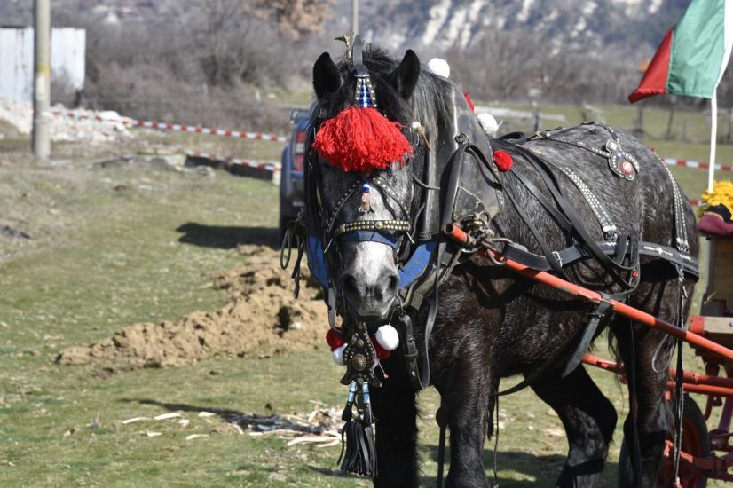 Село Крупник ще отбележи Тодоровден с водосвет за здравето на конете и благополучието на техните стопани