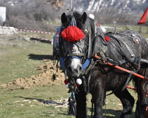 Село Крупник ще отбележи Тодоровден с водосвет за здравето на конете и благополучието на техните стопани