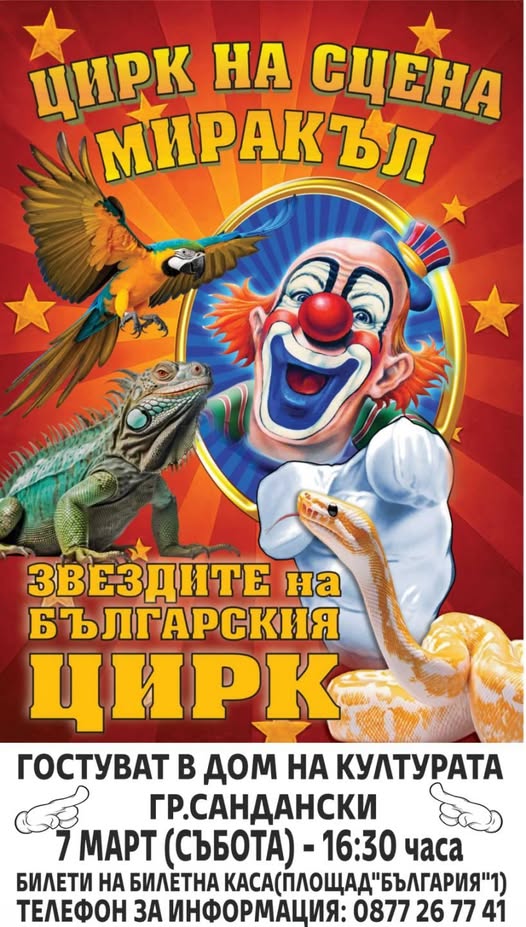 Цирк на сцена Миракъл-един от най-добрите циркови спектакли на сцена в Сандански