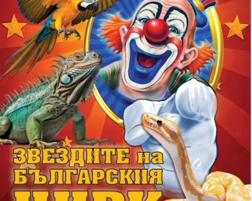 Цирк на сцена Миракъл-един от най-добрите циркови спектакли на сцена в Сандански