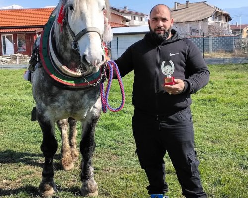 Тодоровден в Кочериново: Денис Янев и жребецът Тайгър триумфираха безапелационно