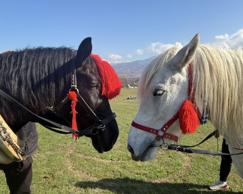 С водосвет и благослов за здраве: Крупник и Брежани отбелязаха тържествено Тодоровден