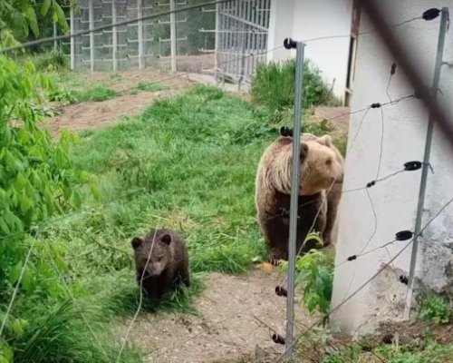Община Благоевград чака две години финансиране от държавата, за да разшири зоопарка