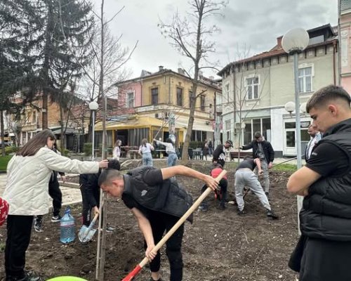 Започва засаждане на дървета в  Кюстендил