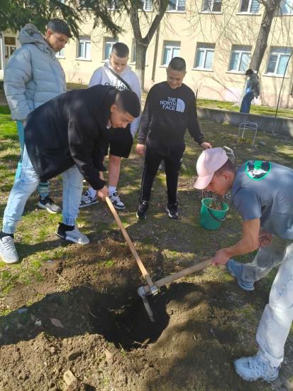 Осмокласници в Симитли садиха дръвчета Осмокласници в Симитли садиха дръвчета