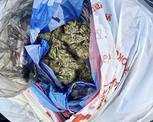 Марихуана и пистолет иззети от ГДБОП в Пловдив