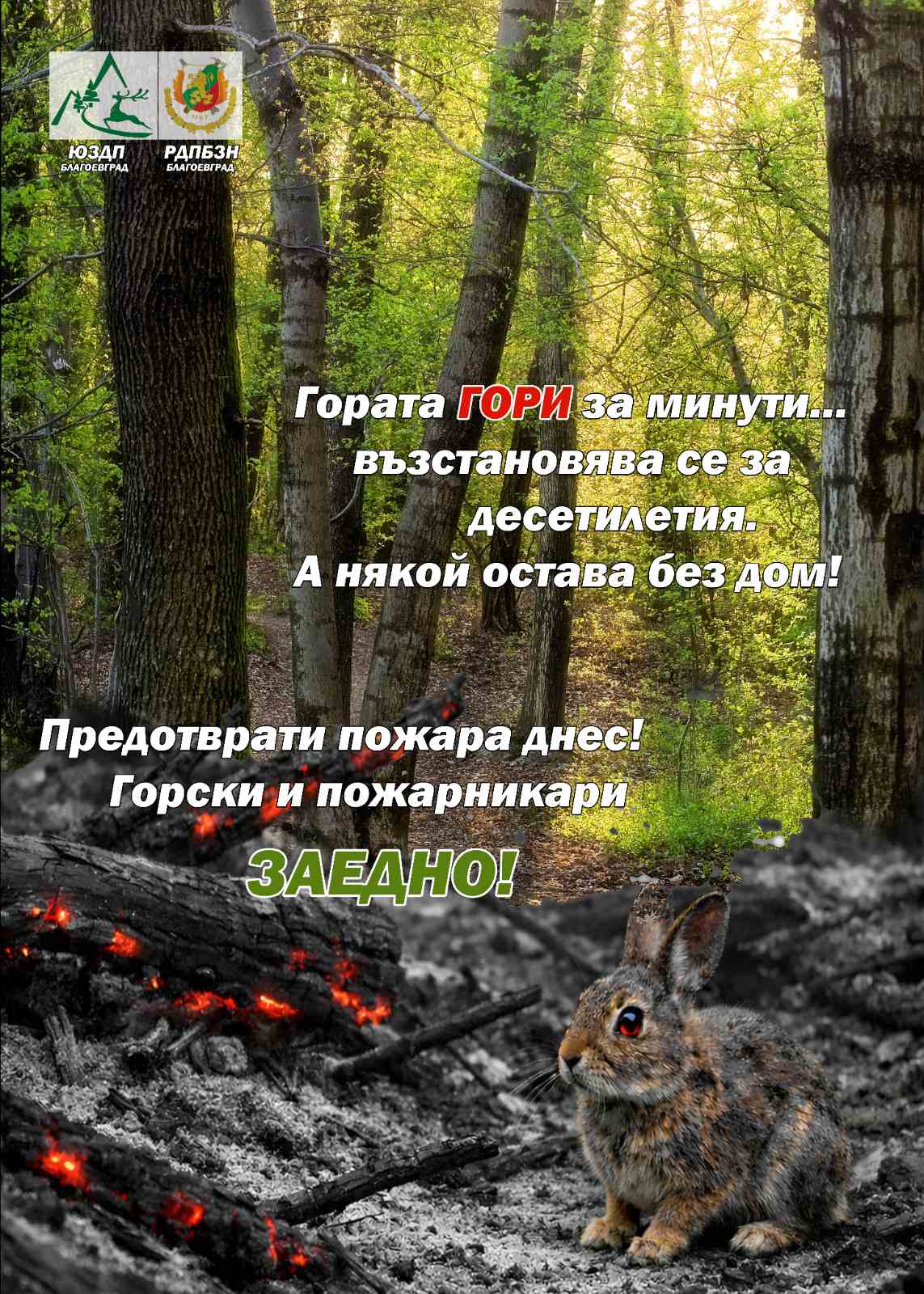 Горски и пожарникари заедно в Благоевград Горски и пожарникари заедно в Благоевград