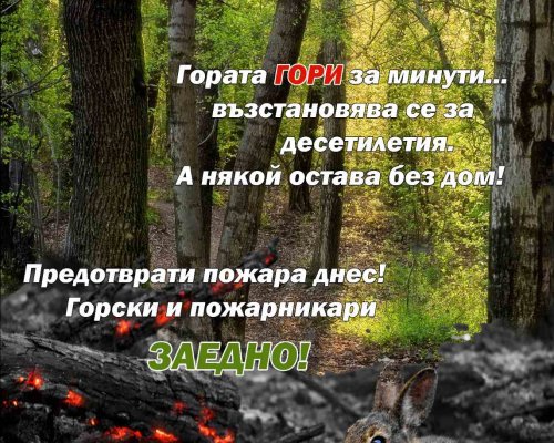 Горски и пожарникари заедно в Благоевград