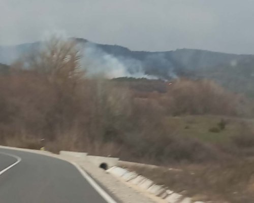 Голям пожар гори край село Господинци
