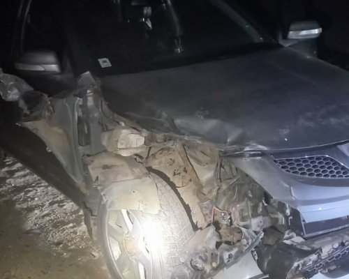 Агресия срещу горски служители при проверка за незаконен превоз на дървесина край Ихтиман
