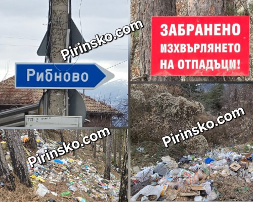 ЕКОУЖАС В РОДОПИТЕ! Тонове боклук заливат боровата гора между Осиково и Рибново!