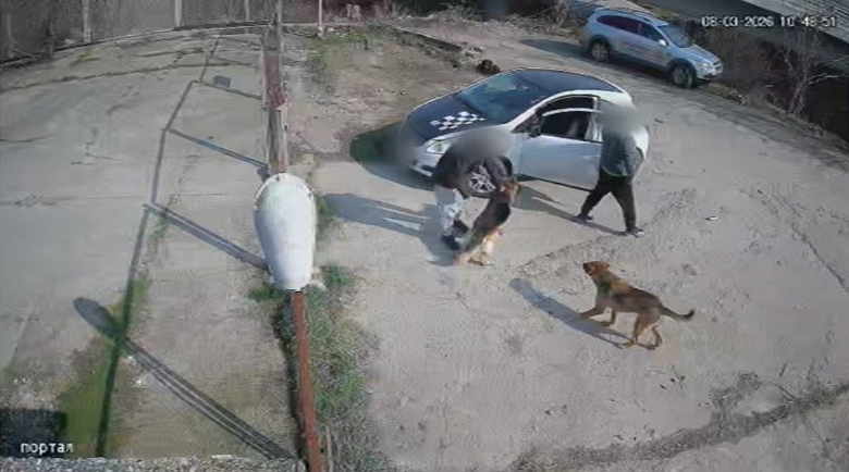 Мъж влезе с взлом в приюта в Благоевград, за да открадне собственото си куче Мъж влезе с взлом в приюта в Благоевград, за да открадне собственото си куче