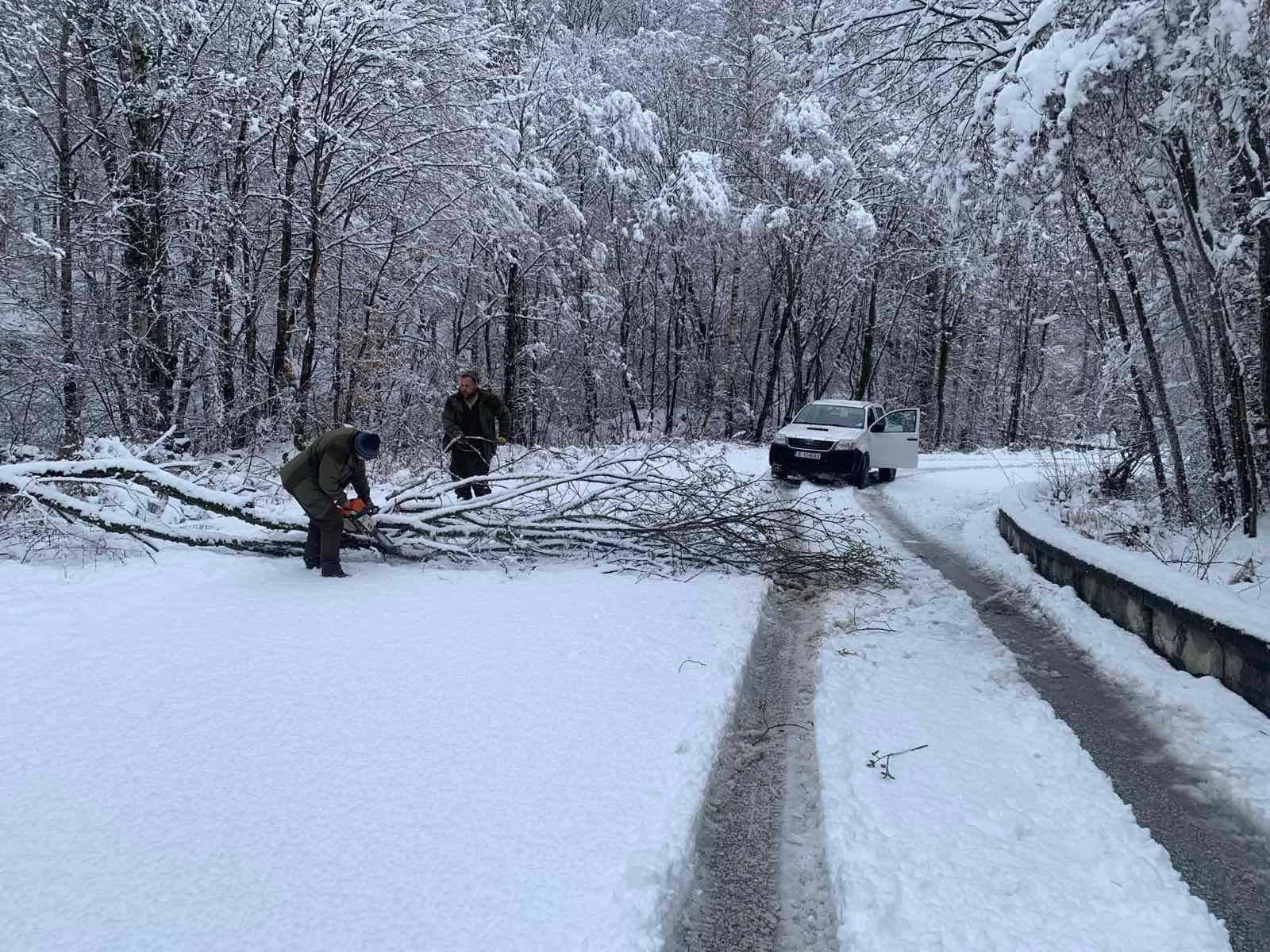 Тежък мокър сняг повали клони и временно затвори пътя за Картала над Благоевград