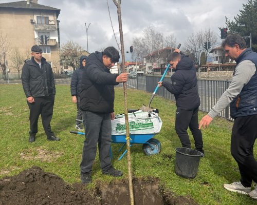 Инициатива за облагородяване на училищния двор в ПГЕЕ Банско