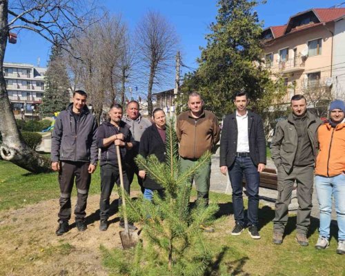 В Добринище засадиха нови дръвчета за Седмицата на гората