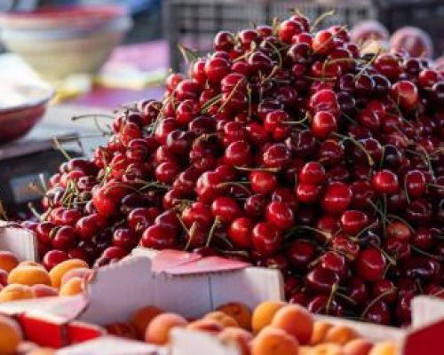 Ядем най-скъпите череши, килограмът ще бъде между 10 и 15 евро