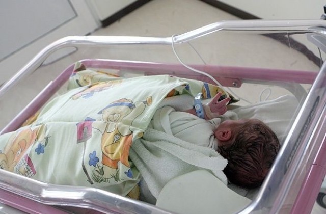 411 бебета са родени за 3 месеца в Благоевград 411 бебета са родени за 3 месеца в Благоевград