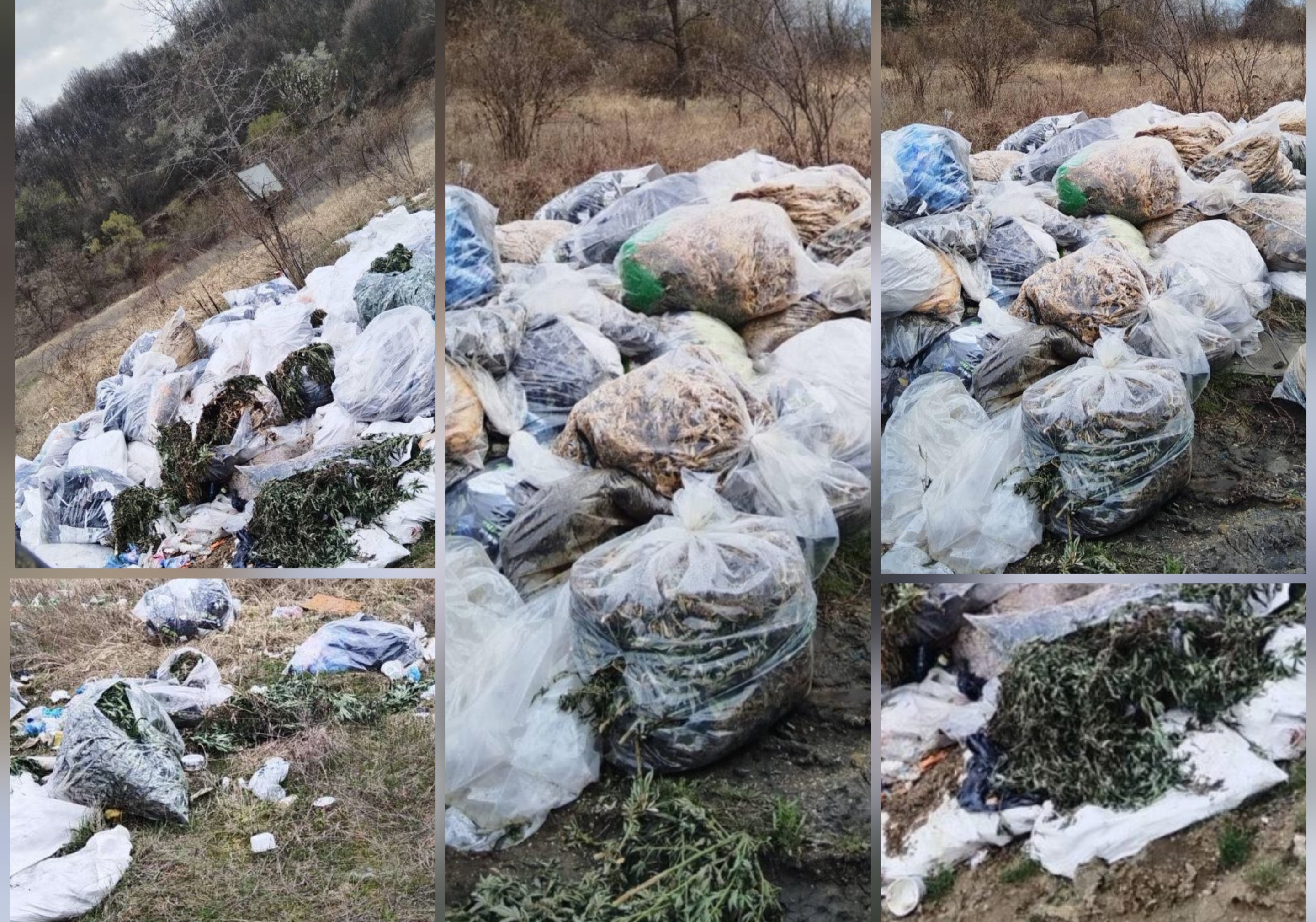 Откриха чували с канабис в имот под наем в промишлената зона на Бобов дол Откриха чували с канабис в имот под наем в промишлената зона на Бобов дол