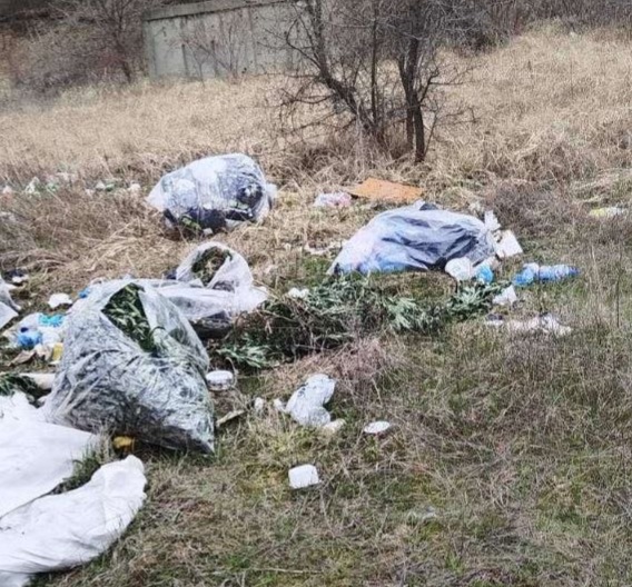 Откриха чували с канабис в имот под наем в промишлената зона на Бобов дол