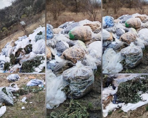 Откриха чували с канабис в имот под наем в промишлената зона на Бобов дол