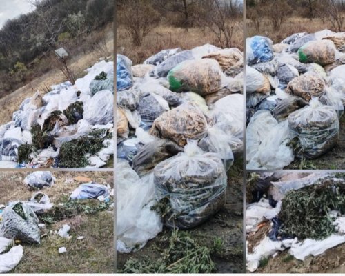 660 кг канабис открити на сметище край Бобов дол