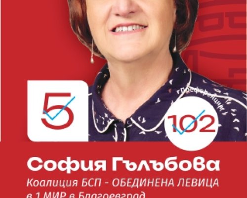 София Гълъбова, кандидат за народен представител:  БСП-Обединена левица  предлагаме конкретни решения и дългосрочни политики