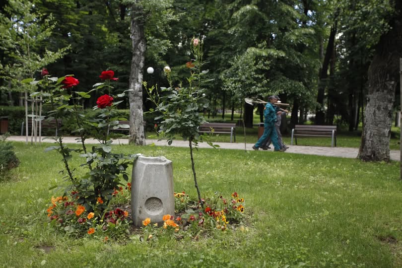 Започва дезакаризация на зелените площи в община Гоце Делчев Започва дезакаризация на зелените площи в община Гоце Делчев
