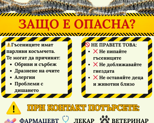 ВНИМАНИЕ:  БОРОВА ПРОЦЕСИОНКА в Банско -риск за здравето на хора и животни