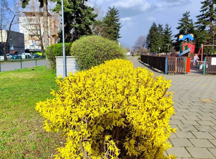 Културен петък в Кюстендил събира памет, изкуство и театър Културен петък в Кюстендил събира памет, изкуство и театър
