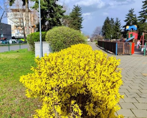 Културен петък в Кюстендил събира памет, изкуство и театър