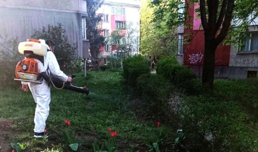 Пръскат срещу комари и бълхи зелените площи в Дупница Пръскат срещу комари и бълхи зелените площи в Дупница
