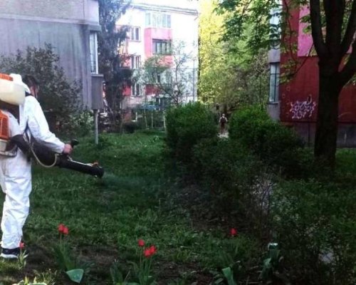 Пръскат срещу комари и бълхи зелените площи в Дупница