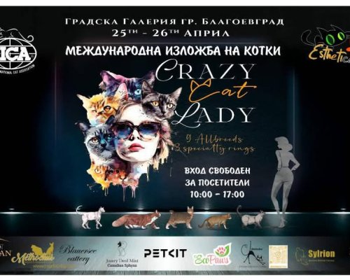 Над 100 котки от различни породи участват в изложба в Благоевград