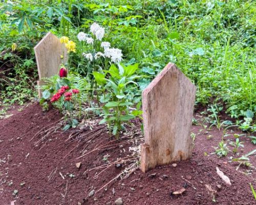 КАТО ВЪВ ФИЛМ НА УЖАСИТЕ: Мъж е погребан тайно в двора на къща