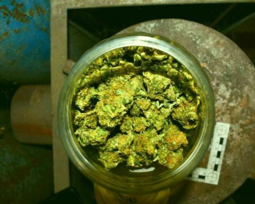 Хванаха дилър с над 1,5 кг марихуана при проверка на пътя