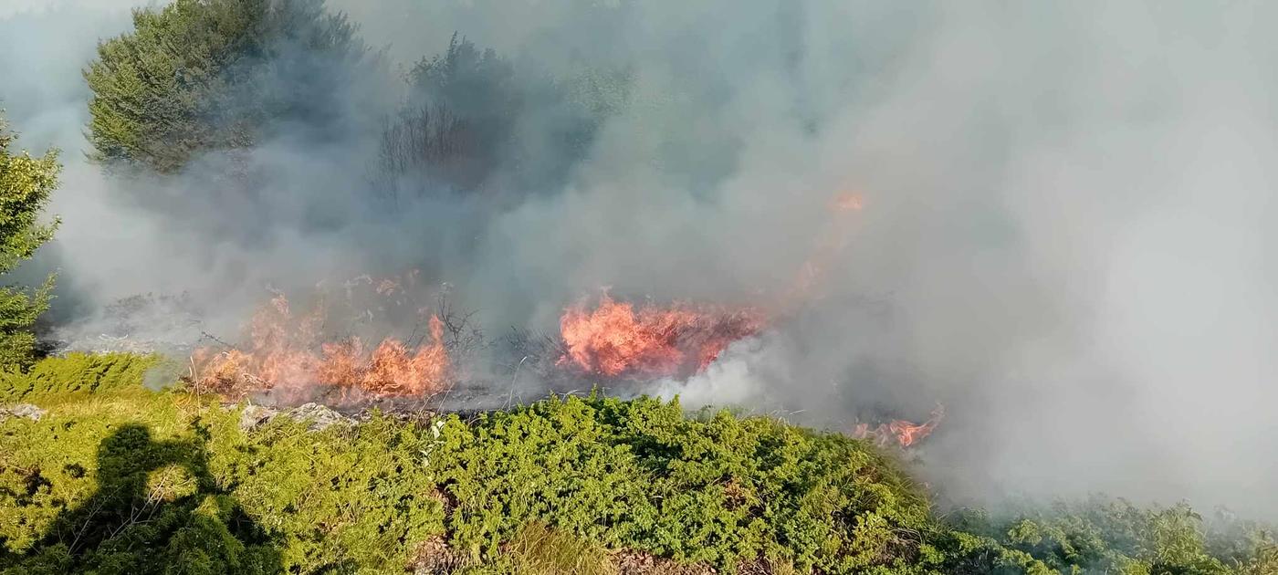 Пожар изпепели 10 дка сухи треви край с. Полска Скакавица Пожар изпепели 10 дка сухи треви край с. Полска Скакавица